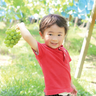 遠藤ぶどう園