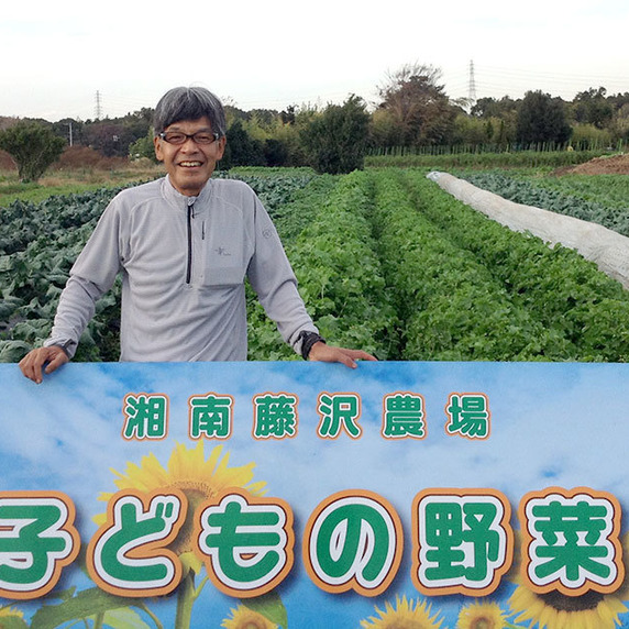 すべての生産者｜67ページ目｜食べチョク｜産地直送(産直)お