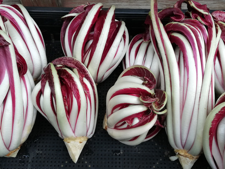 山田農園へのレビュー・商品：神奈川県｜食べチョク｜産地直送(産直)お