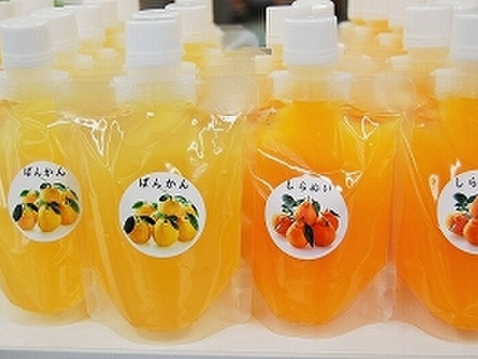こだわりゼリー飲料 １７０ｇ １０個セット【みかん職人武田屋】