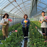First Company ウメダ花園