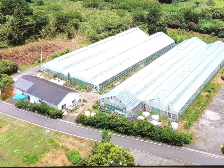 市場への出荷無し、農園直売・農園直送