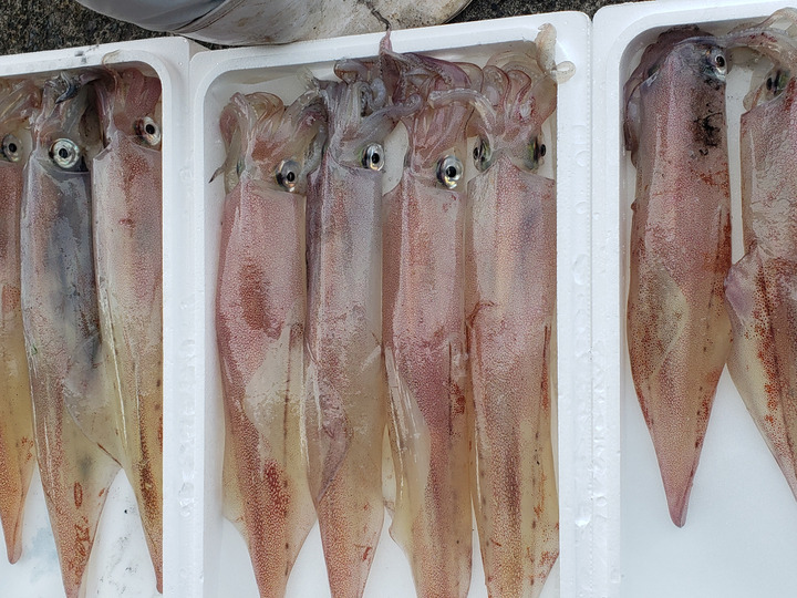 生産者のこだわり