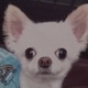 モアちゃん