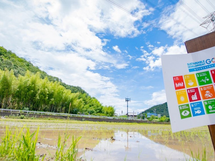 クレドファーム レンゲの里の紹介 岐阜県 食べチョク 農家 漁師の産直ネット通販 旬の食材を生産者直送