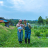 まえむき。FARM & SHOP