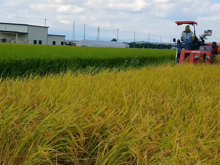 生産者のこだわり