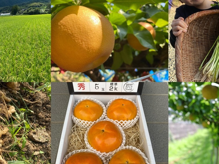 生産者のこだわり
