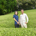 川根茶の清水園・萩下製茶