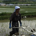 酒井ファーム