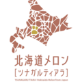 北海道メロン［ツナガルティアラ］