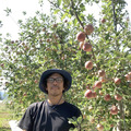 マルハチ農園　apple & peach