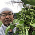 よしまっちゃん家の