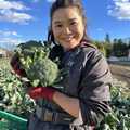 花園ファーム
