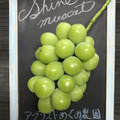 ミライノウエン