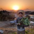 鎌倉山千葉農園
