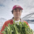 ひない渡辺農園しどけ村