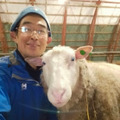 石狩ひつじ牧場　羊肉・羊肉製品専門店