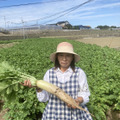 モリカワ農園