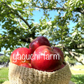 yaguchi farm