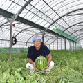 丸祝延岡温室