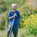 根っこ農園