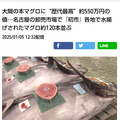 KANEHO