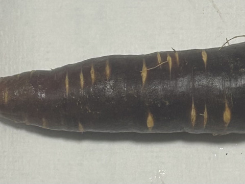 彩りにんじん3色セット　5kg