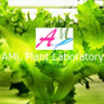 ＡＭＬ植物研究所
