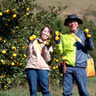 YUZU LIFE