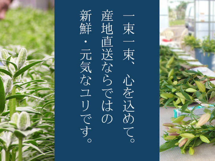 お客様に直接お届けする事にこだわっています