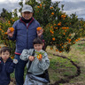 宮武Farm