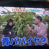 Baji西洋野菜研究所