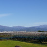 高橋ファーム