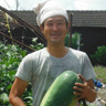 一曜菜園