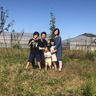 マルトメみかん