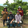 みかん山柑土里(カントリー）ファーム