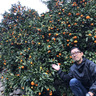 鳴川　農園