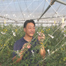 SK farm