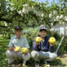 あべ果樹園