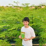 Bright Life