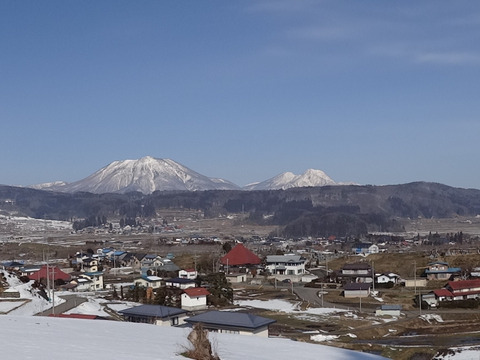 【信州飯綱産王林】甘みが強いがさっぱりした口触り(5kg)