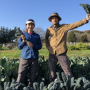 有機農園けのひ