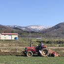 ricefarm ヌプリ