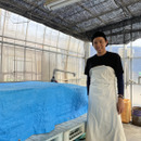 岩槻野菜工房