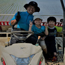 Pino farm