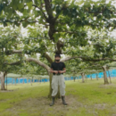 ksfarm