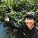 中嶋農園