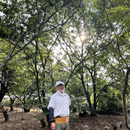 熊本なごみ農園