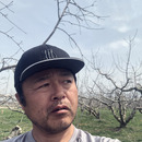 かとうりんご農園
